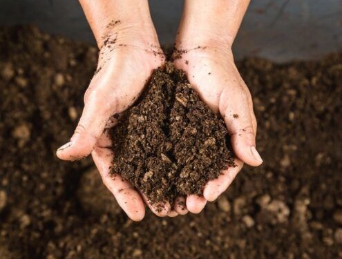 Prepare Your Garden Soil