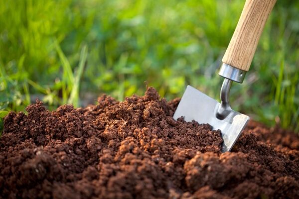 Prepare Your Garden Soil