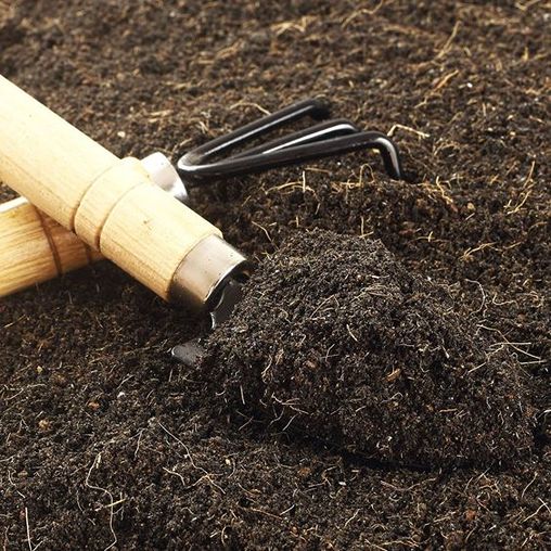 Best Soil Type